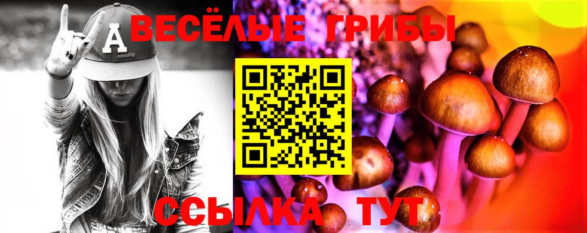 Псилоцибиновые грибы GOLDEN TEACHER  продажа наркотиков  Соликамск  Вход с VPN 